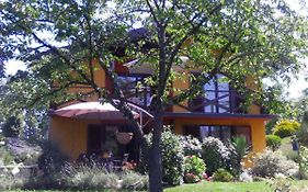 Apartment Villa Ema